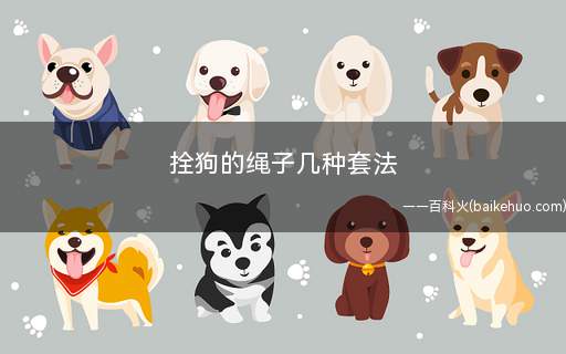 拴狗的绳子几种套法(狗项圈式的狗链一般最好用)