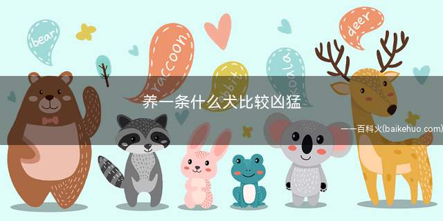 养一条什么犬比较凶猛