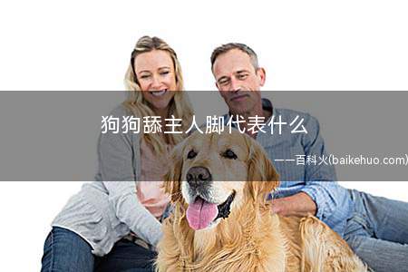 狗狗舔主人脚代表什么