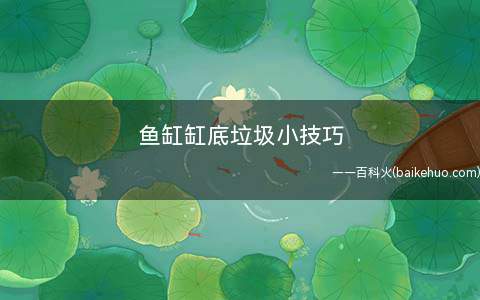 鱼缸缸底垃圾小技巧