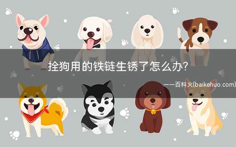 拴狗用的铁链生锈了怎么办(肥皂水与鲜柠檬汁侵泡即可)