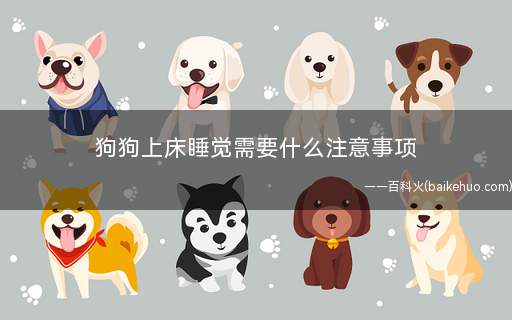 狗狗上床睡觉需要什么注意事项