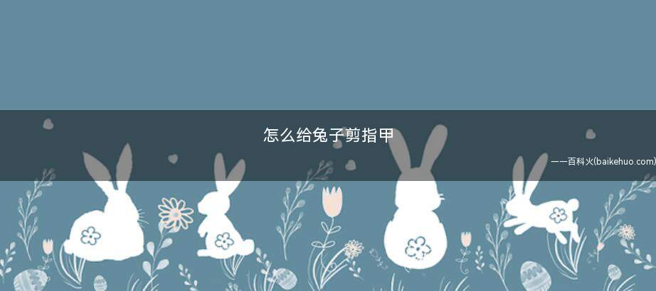 怎么给兔子剪指甲