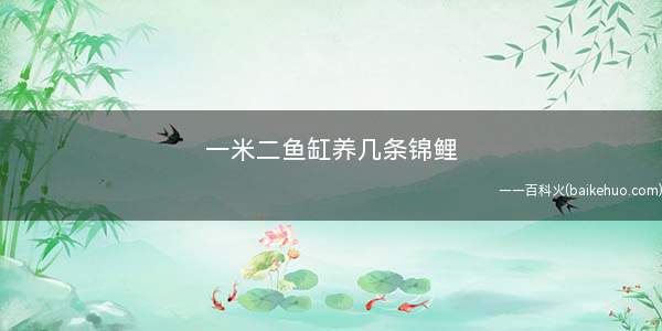 一米二鱼缸养几条锦鲤(锦鲤和锦鲤有什么区别)