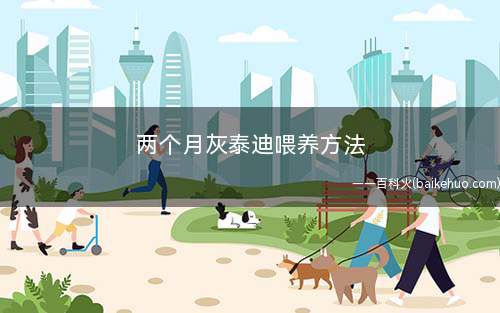 两个月灰泰迪喂养方法(每次让狗狗吃多少狗粮)