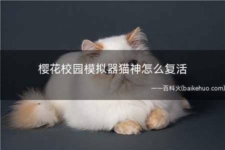 樱花校园模拟器猫神怎么复活(热血传奇手游:猫神复活攻略)