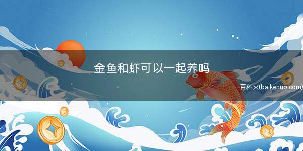 金鱼和虾可以一起养吗(观赏鱼和观赏虾有什么区别)