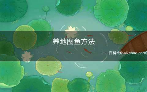 养地图鱼方法