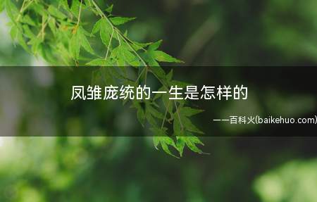 凤雏庞统的一生是怎样的 凤雏庞统怎么死的