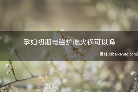 孕妇初期电磁炉吃火锅可以吗