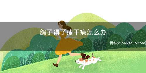 鸽子得了瘦干病怎么办(初次发生消瘦病的鸽子效果较好)