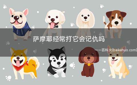 萨摩耶经常打它会记仇吗(萨摩耶被打后的心理)