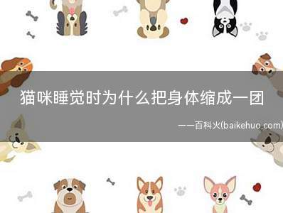 猫咪睡觉时为什么把身体缩成一团(猫咪的体温比环境温度高许多)