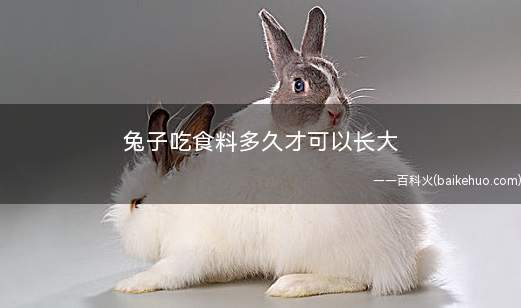 兔子吃食料多久才可以长大(兔子的成年期有哪些)