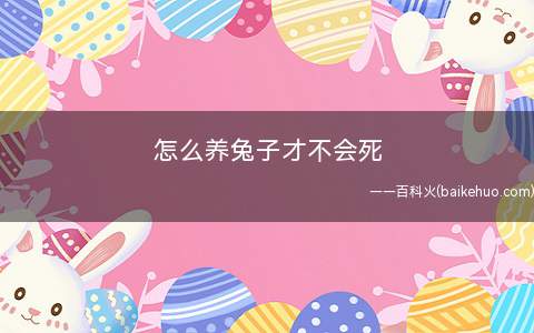 怎么养兔子才不会死(兔子养兔的5大注意事项)