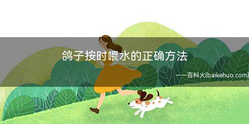 鸽子按时喂水的正确方法(给鸽子喝水的注意事项)