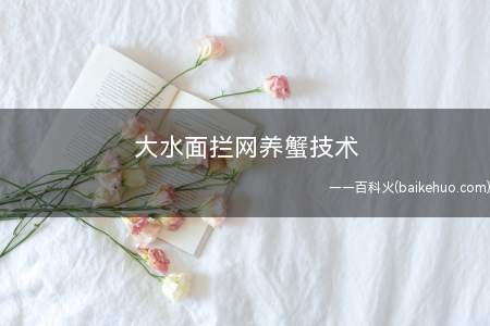 大水面拦网养蟹技术