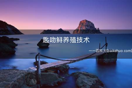 匙吻鲟养殖技术