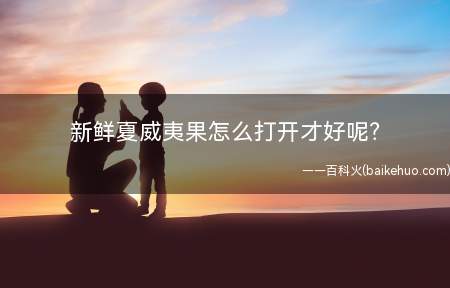 新鲜夏威夷果怎么打开才好呢?