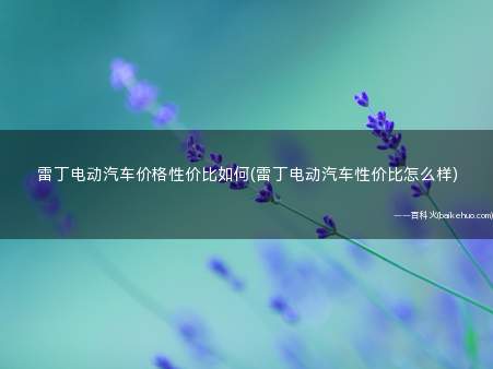 雷丁电动汽车价格性价比如何(雷丁电动汽车性价比怎么样)