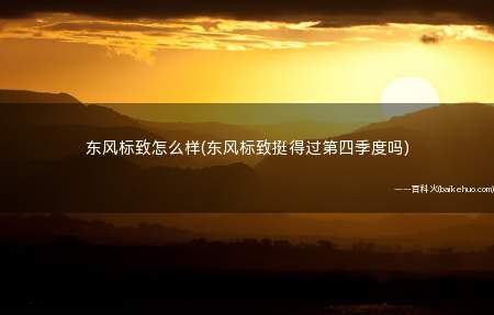 东风标致怎么样(东风标致挺得过第四季度吗)