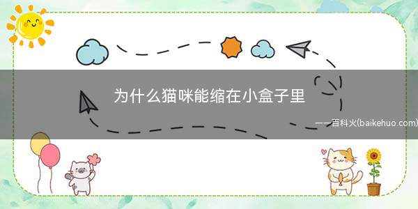 为什么猫咪能缩在小盒子里(猫咪能像液体一样缩在小盒子里是因为猫的骨头又多又小)