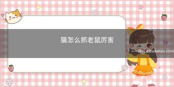 猫怎么抓老鼠厉害(抓老鼠的身体条件)