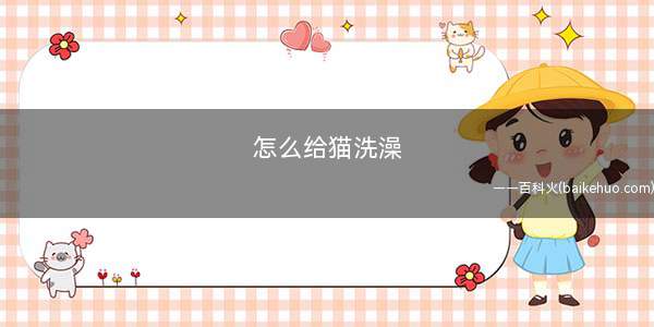 怎么给猫洗澡(给猫洗澡的12个注意事项)