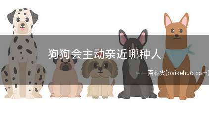 狗狗会主动亲近哪种人(狗狗会主动亲近身上没有异味的人)