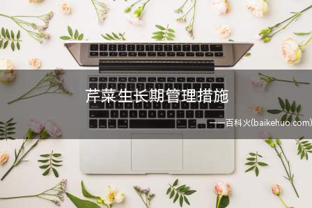 芹菜生长期管理措施