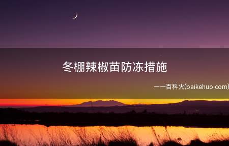冬棚辣椒苗防冻措施