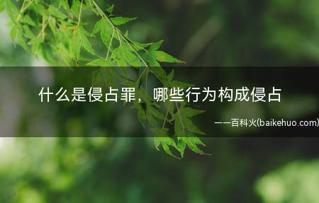 什么是侵占罪，哪些行为构成侵占