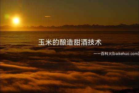 玉米的酿造甜酒技术