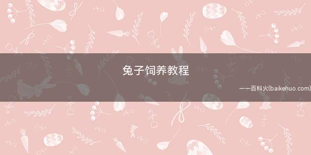 兔子饲养教程(养殖兔子的注意事项)