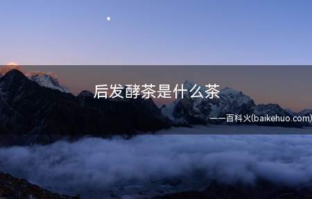 后发酵茶是什么茶