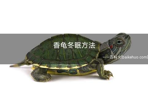 香龟冬眠方法