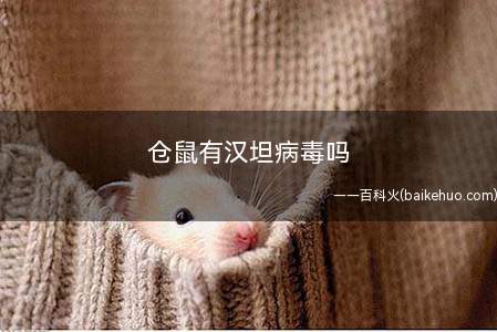 仓鼠有汉坦病毒吗(从仓鼠亚科宿主动物大仓鼠肺中分离到的汉坦病毒的全)
