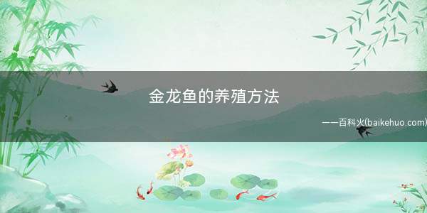 金龙鱼的养殖方法(养金龙鱼最要准备好温控设备)