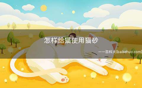 怎样给猫使用猫砂(猫咪使用猫砂的注意事项)