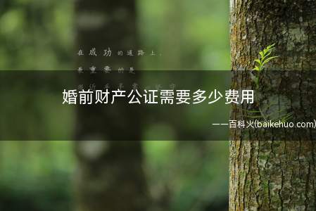婚前财产公证需要多少费用