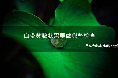 白带黄脓状需要做哪些检查