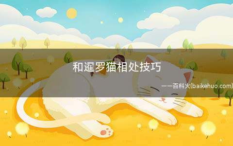 和暹罗猫相处技巧(暹罗猫的护理方法)