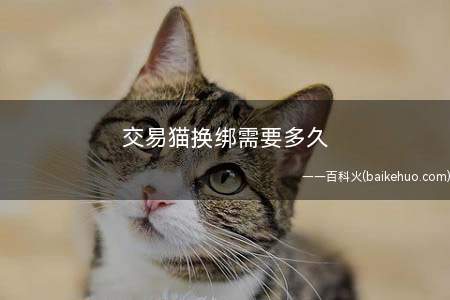 交易猫换绑需要多久(交易猫换绑需要24小时)