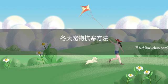 冬天宠物抗寒方法(冬季狗狗饲料搭配注意事项)