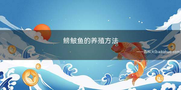 鳑鲏鱼的养殖方法
