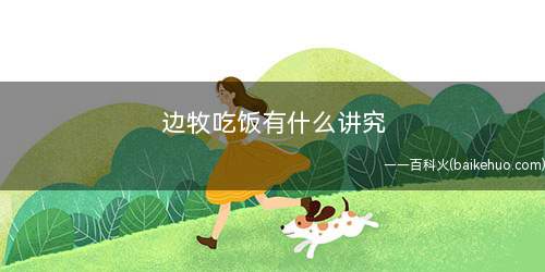 边牧吃饭有什么讲究