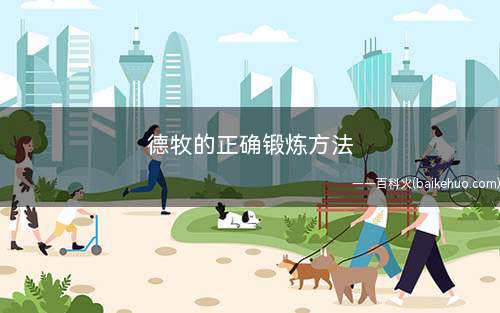 德牧的正确锻炼方法(德牧运动3个小时)
