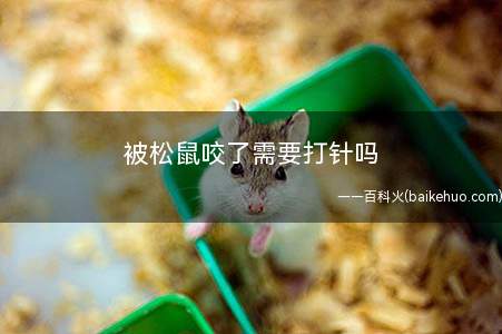 被松鼠咬了需要打针吗(松鼠咬伤人有传染给人狂犬病的例子)