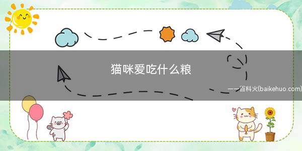 猫咪爱吃什么粮(猫咪最爱吃什么)