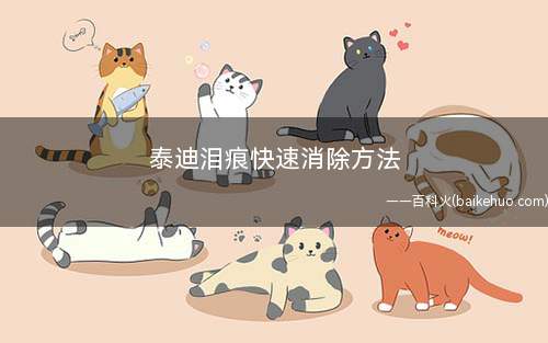 泰迪泪痕快速消除方法